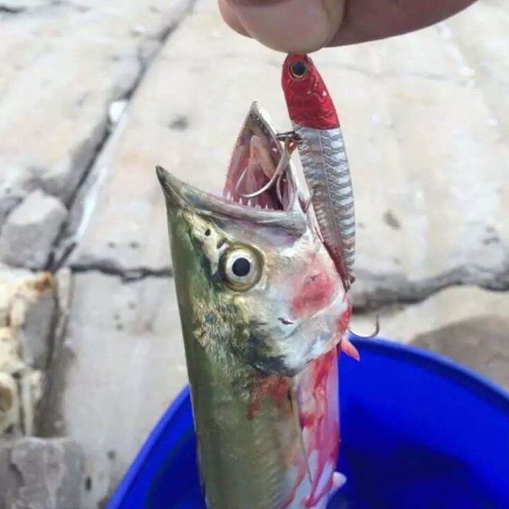 AS 100 個トレブルフック​​ 4X 強力な釣りジグフッ - Fishing Hook Assortment のレビューと価格